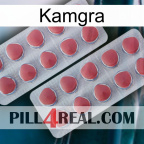 Kamgra 19